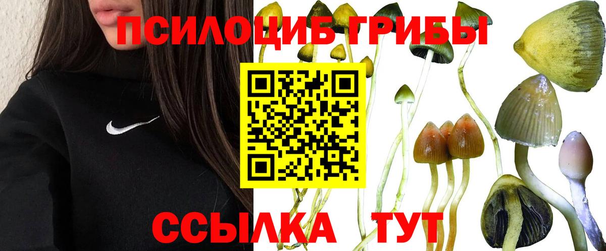 Псилоцибиновые грибы MAGIC MUSHROOMS  Вход с VPN  Семёнов 