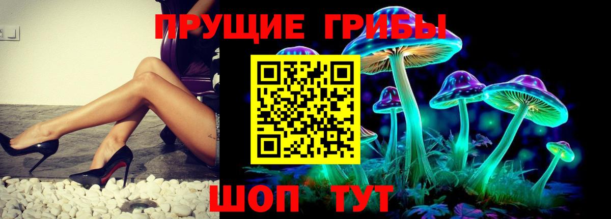Псилоцибиновые грибы Psilocybe Семёнов